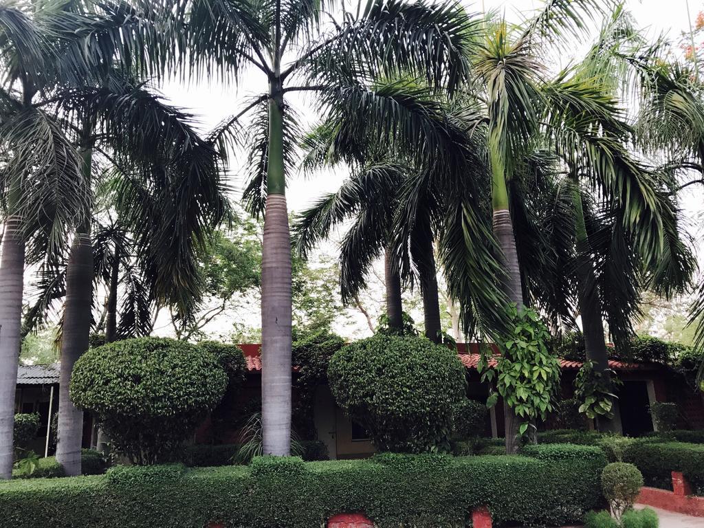Hotel Sheela, 100M From Taj Mahal Агра Екстер'єр фото